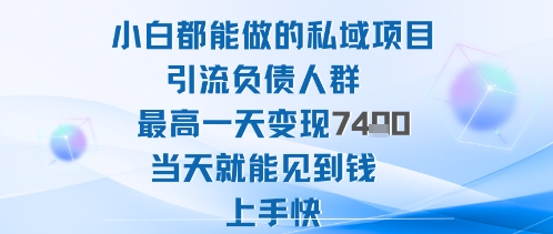 2025年小白都能做的私域项目引流负债人群最高一天变现1k+高变现难度低当天就能见到钱上手快-DE云网创