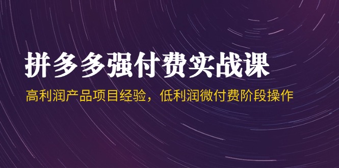 （14874期）拼多多强付费实战课-44期，高利润产品项目经验，低利润微付费阶段操作-DE云网创