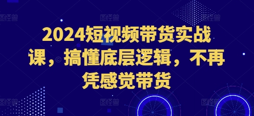 2024短视频带货实战课，搞懂底层逻辑，不再凭感觉带货-DE云网创