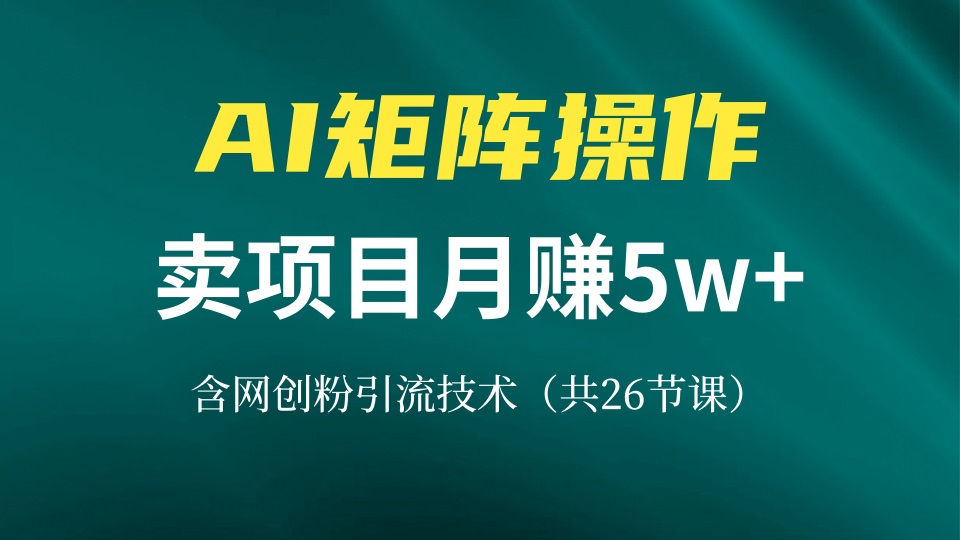 （13335期）网创IP打造课，借助AI卖项目月赚5万+，含引流技术（共26节课）-DE云网创
