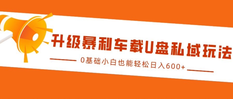 升级暴利车载U盘私域玩法，0基础小白也能轻松日入多张【揭秘】-DE云网创