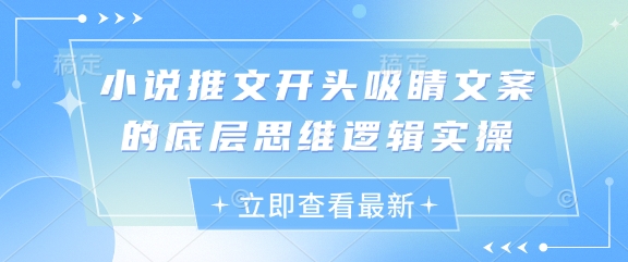 小说推文开头吸睛文案的底层思维逻辑实操-DE云网创