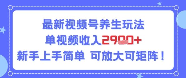 视频号养生玩法，单视频收入2.9k，新手上手简单-DE云网创