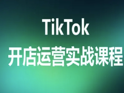 TikTok开店运营实战课程，TK跨境电商实操全流程-DE云网创