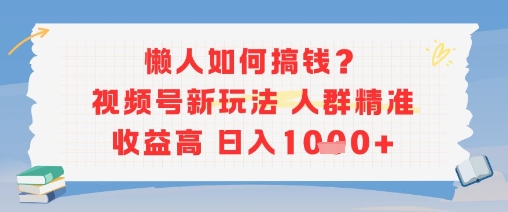 懒人如何搞钱？视频号新玩法，人群精准收益高，日入多张-DE云网创