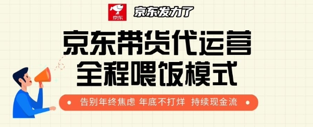 京东带货代运营全程喂饭模式，告别年终焦虑 年底不打烊 持续现金流+-DE云网创