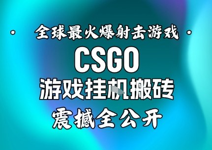 【年底大揭秘】基于全球最火爆的射击CSGO游戏挂G搬砖，日入5张+，震撼公开-DE云网创