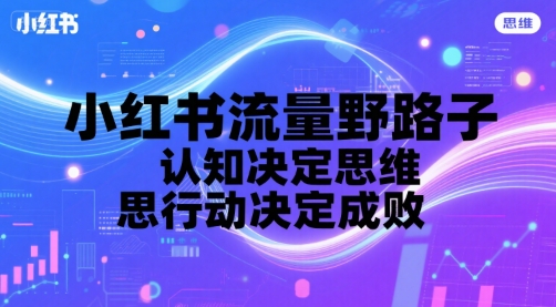 小红书流量野路子，认知决定思维，思维决定行动，行动决定成败-DE云网创