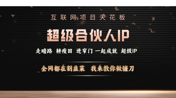 互联网项目天花板，超级合伙人IP，全网都在割韭菜，我来教你做镰刀【仅揭秘】-DE云网创
