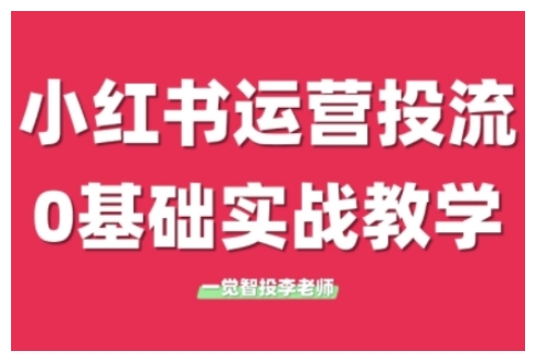 小红书运营投流，小红书广告投放从0到1的实战课，学完即可开始投放-DE云网创