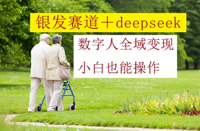 银发赛道+deepseek数字人全域变现，小白也能操作-DE云网创