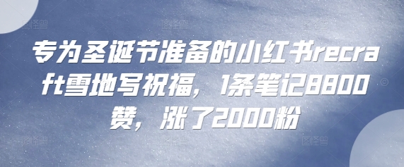 专为圣诞节准备的小红书recraft雪地写祝福，1条笔记8800赞，涨了2000粉-DE云网创