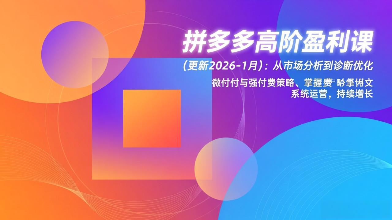拼多多高阶盈利课(更新2026-1月-DE云网创