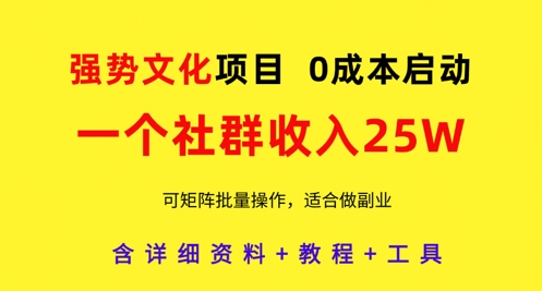 强势文化项目，一个社群收入25个W，0成本启动，可矩阵批量操作，原创详细实操教程-DE云网创
