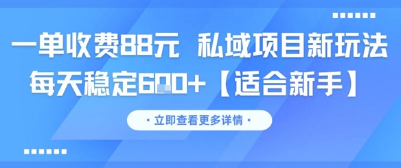 一单收费88元 私域项目新玩法 每天稳定6张+【适合新手】-DE云网创