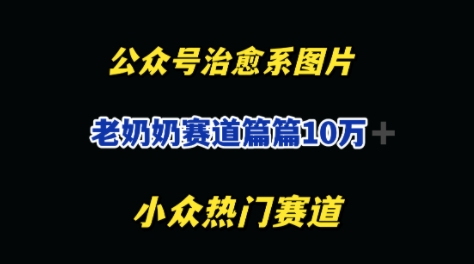 公众号老奶奶治愈系流量主，篇篇10W+-DE云网创