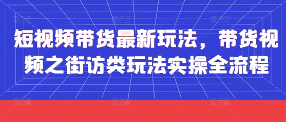 短视频带货最新玩法，带货视频之街访类玩法实操全流程-DE云网创