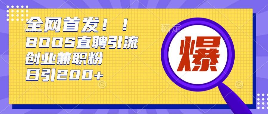 通过Boss直聘，每天轻松钓到200+多条创业大鱼的秘籍【揭秘】-DE云网创