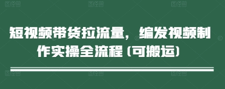 短视频带货拉流量，编发视频制作实操全流程(可搬运)-DE云网创
