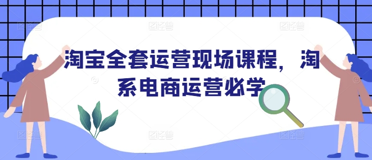 淘宝全套运营现场课程，淘系电商运营必学-DE云网创