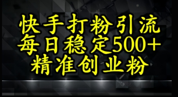 快手精准式打粉引流，每日稳定500+精准创业粉-DE云网创