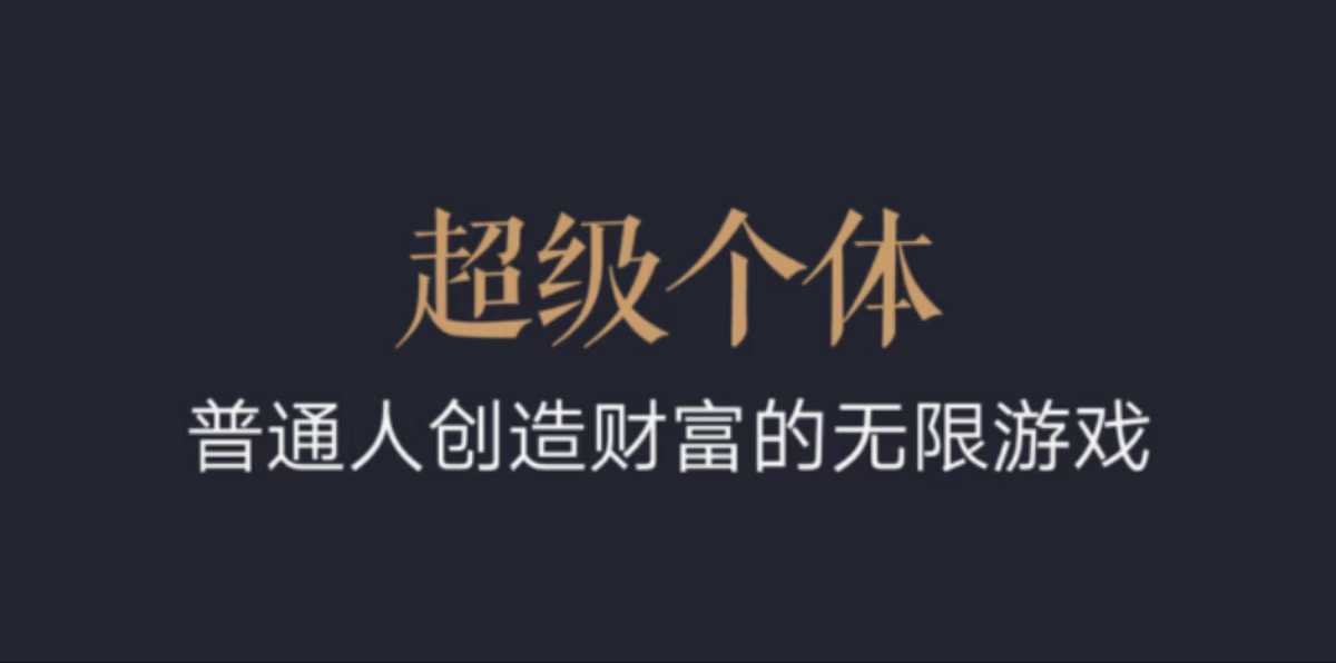 超级个体：2024-2025翻盘指南，普通人创造财富的无限游戏-DE云网创