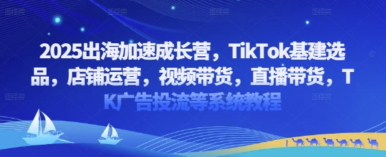 2025出海加速成长营，TikTok基建选品，店铺运营，视频带货，直播带货，TK广告投流等系统教程-DE云网创