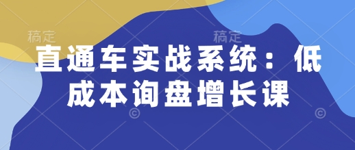 直通车实战系统：低成本询盘增长课，让个人通过技能实现升职加薪，让企业低成本获客，订单源源不断-DE云网创