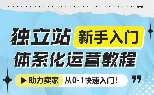 独立站新手入门体系化运营教程，助力独立站卖家从0-1快速入门!-DE云网创