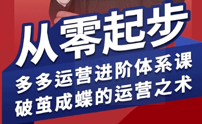 拼多多运营进阶系统课，从零起步，多多运营进阶体系课，破茧成蝶的运营之术(更新9月)-DE云网创