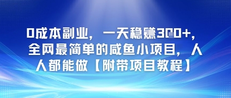 0成本副业，一天稳入3张，全网最简单的咸鱼小项目，人人都能做【附带项目教程】-DE云网创