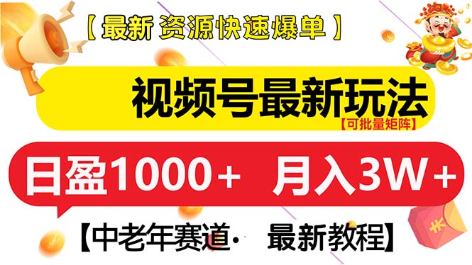 （13530期）视频号最新玩法 中老年赛道 月入3W+-DE云网创