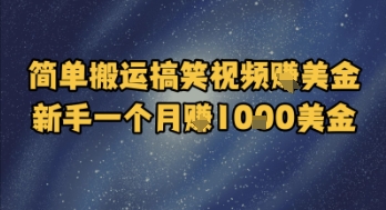 简单搬运搞笑视频挣美金，新手一个月入1k美金-DE云网创