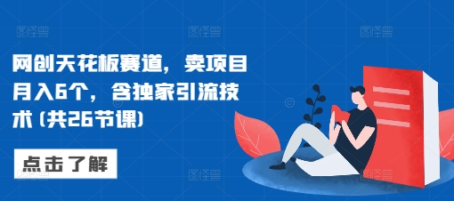 网创天花板赛道，卖项目月入6个，含独家引流技术(共26节课)-DE云网创
