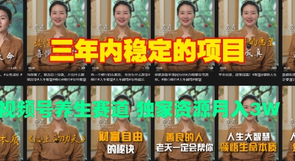 三年内稳定的项目 视频号养生赛道 独家资源月入过W-DE云网创