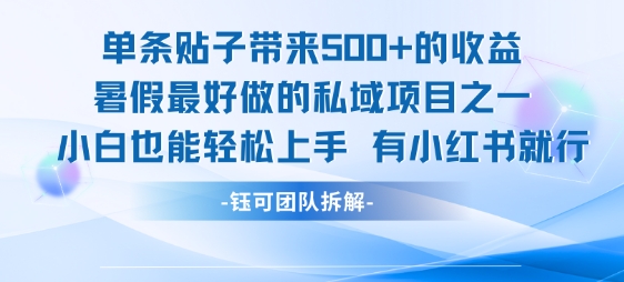 单条贴子带来5张的收益，暑假最好做的私域项目之一，小白也能轻松上手，有小红书就行-DE云网创