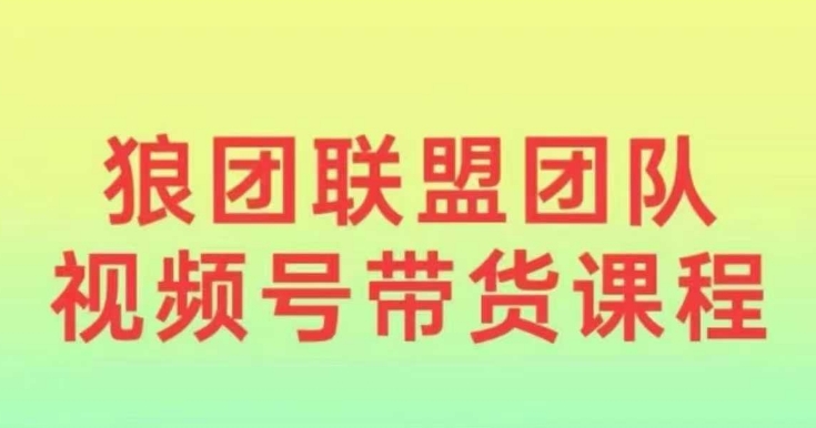狼团联盟2024视频号带货，0基础小白快速入局视频号-DE云网创