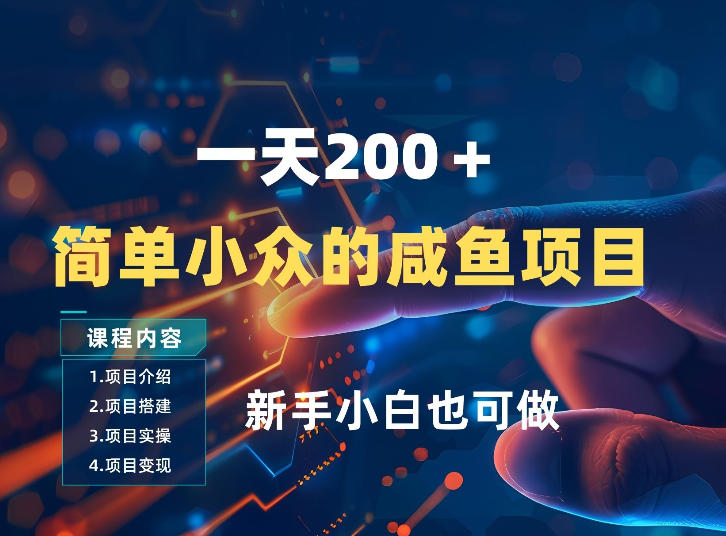 一天收入2张，一个简单小众的咸鱼项目，0门槛小白也能做-DE云网创