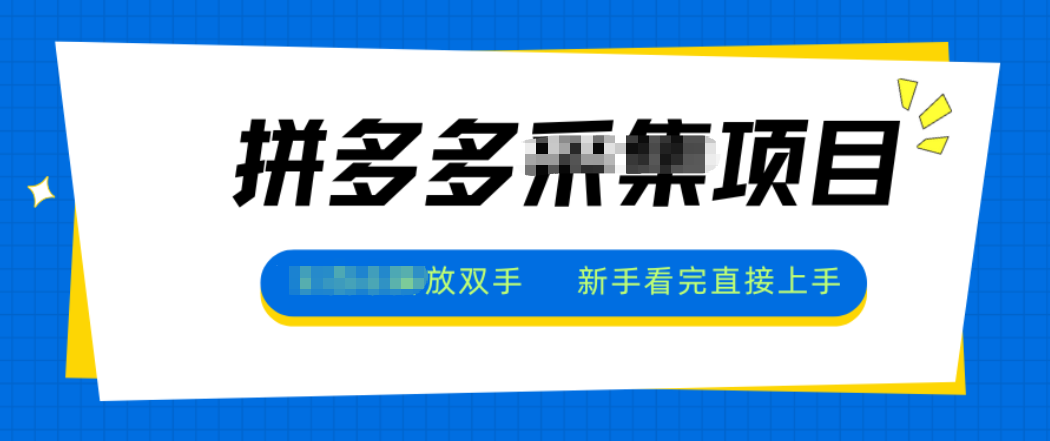 拼多多电商采集，一小时50+，操作简单，零投资-DE云网创