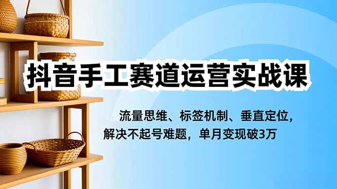 抖音手工赛道运营实战课，流量思维、标签机制、垂直定位，解决不起号难题，单月变现破3万-DE云网创