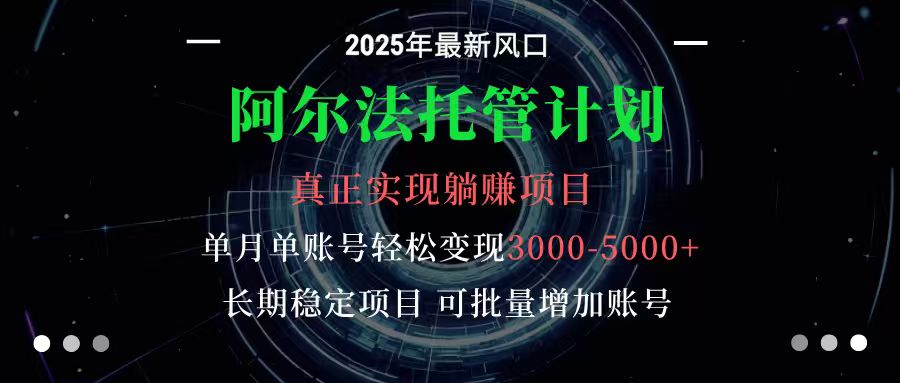 阿尔法托管计划 单账号月入3000-5000，长期稳定项目，新手小白轻松上手-DE云网创