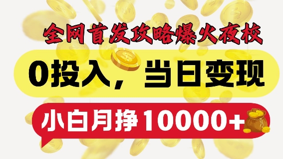 全网首发爆火夜校，0投入，当日变现，小白轻松月入1w+【揭秘】-DE云网创