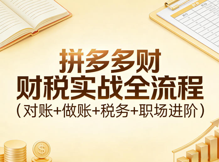 拼多多财税实战全流程(对账+做账+税务+职场进阶)-DE云网创