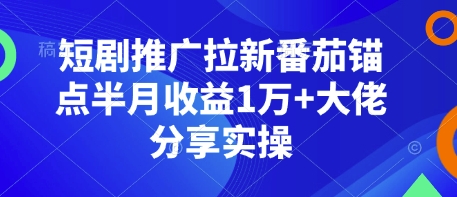 短剧推广拉新番茄锚点半月收益1万+大佬分享实操-DE云网创