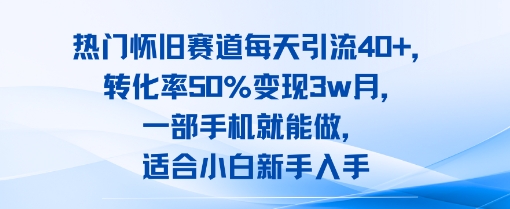 热门怀旧赛道每天引流40+，转化率50%月变现3w，一部手机就能做，适合小白新手入手-DE云网创