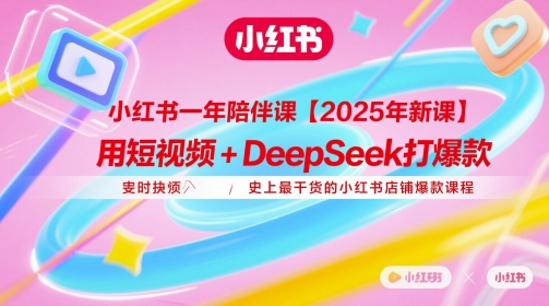 小红书一年陪伴课【2025年新课】，用短视频+deepSeek打爆款，史上最干货的小红书店铺爆款课程-DE云网创