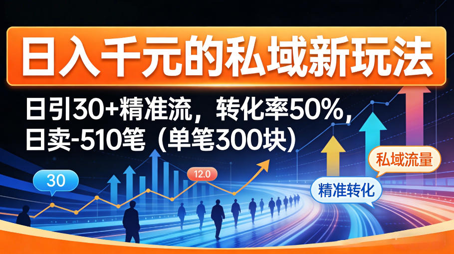 日入千米的私域新玩法：日引30＋精准流，转化率50%，日卖5-10笔(单笔300米)-DE云网创