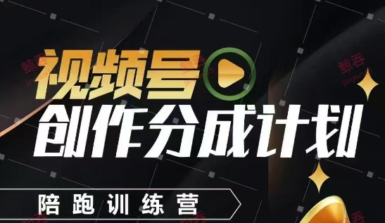 视频号创作分成计划陪跑训练营，手把手教会你如何制作视频，细水长流型项目-DE云网创