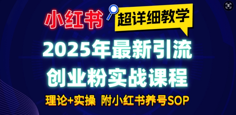 2025年最新小红书引流创业粉实战课程【超详细教学】小白轻松上手，月入1W+，附小红书养号SOP-DE云网创