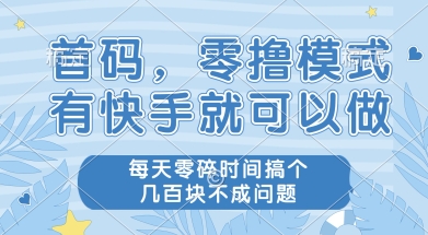 首码零撸项目，有快手就可以做，每天业务时间搞个几张不是问题【揭秘】-DE云网创
